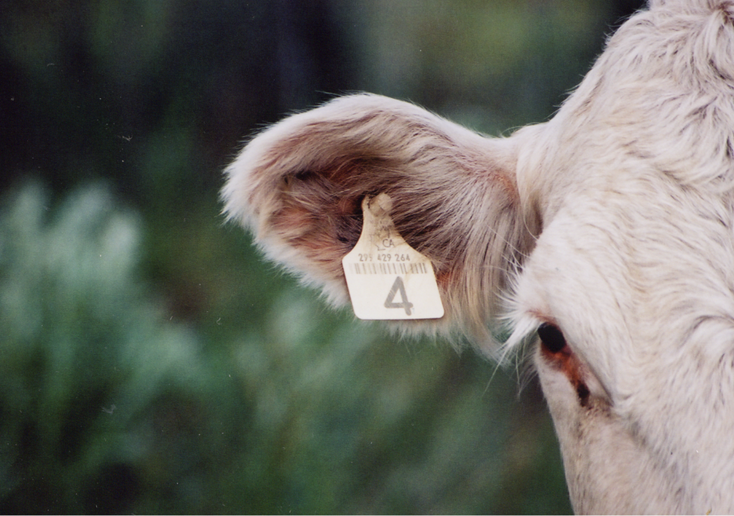 Picture for category Tags and Markers